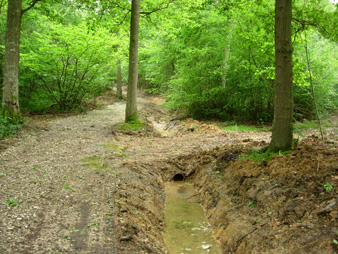 A formerly muddy track, improved by the digging of a ditch with a culvert