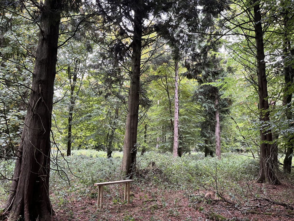 A place to pause