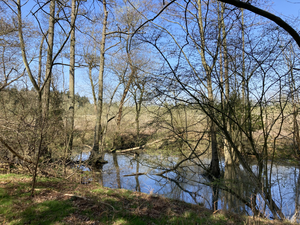 Across the water