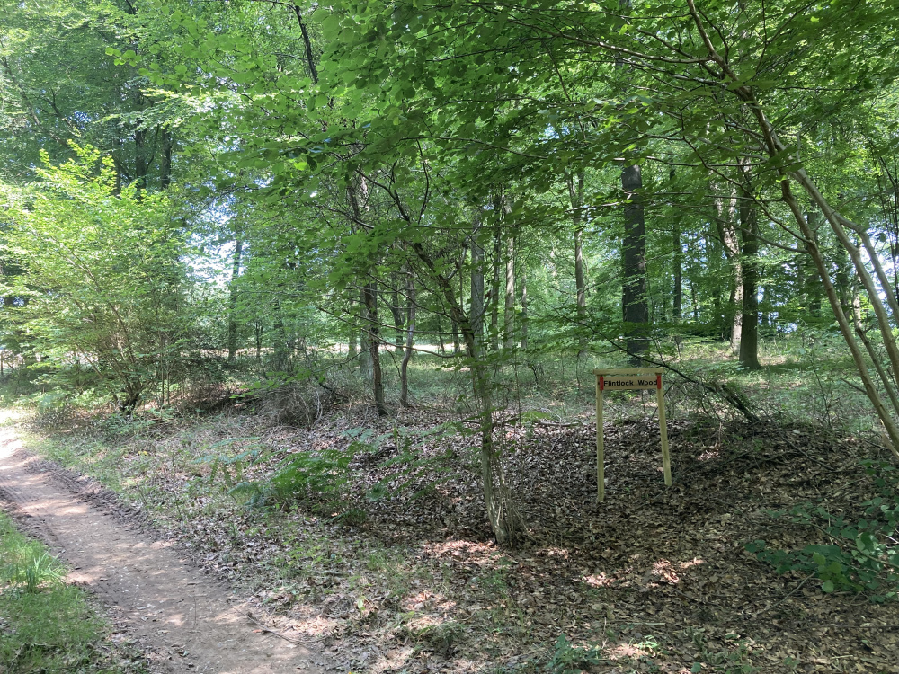 Flintlock Wood