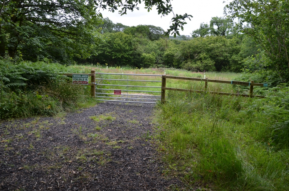 Ride stop entrance