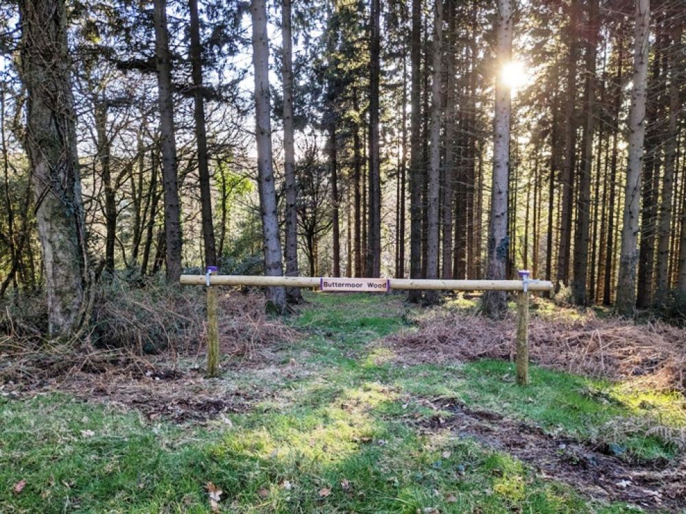 Woodland entrance