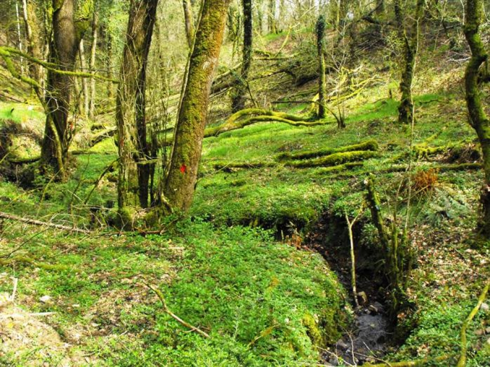 Stream partly within the boundary