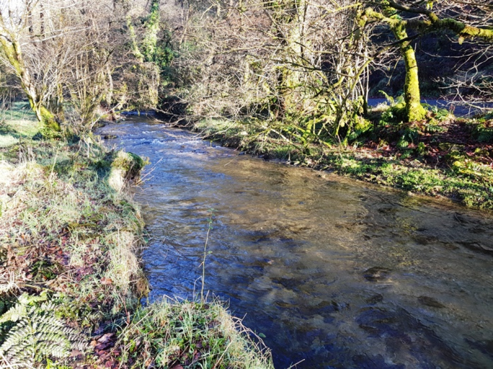 Crystal clear water