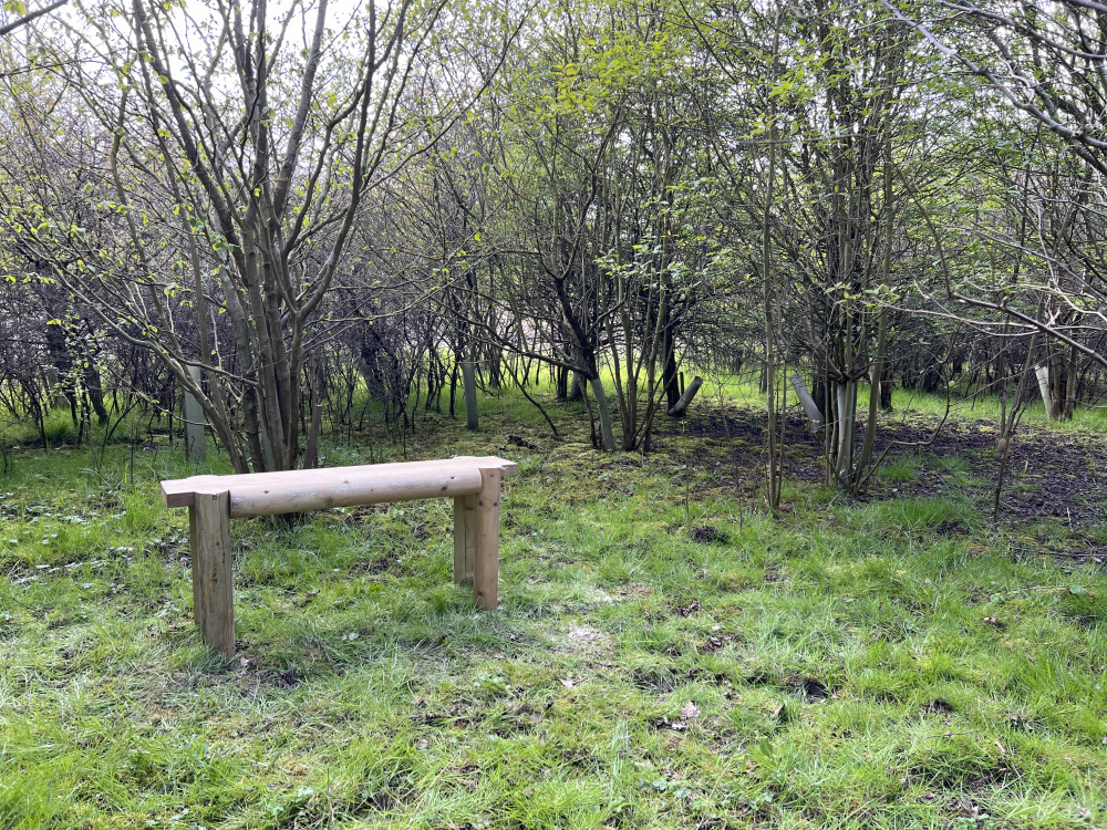 Bench.