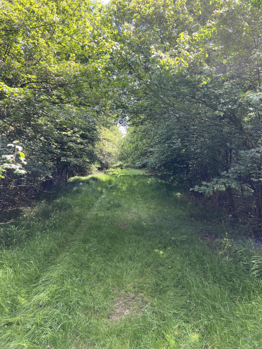 Track to wood.