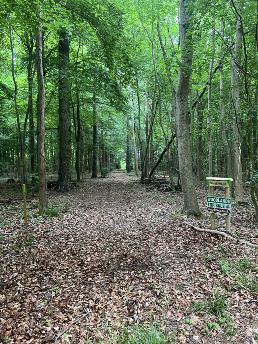 Wood entrance