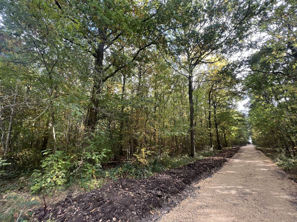 Shared track outside the western boundary.
