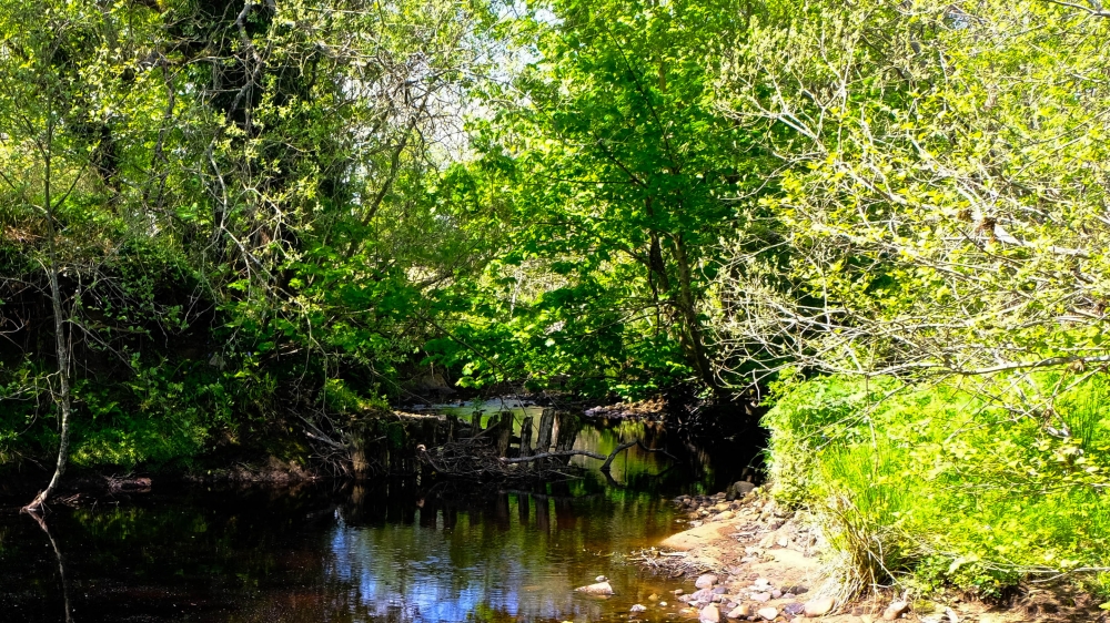 The Black River