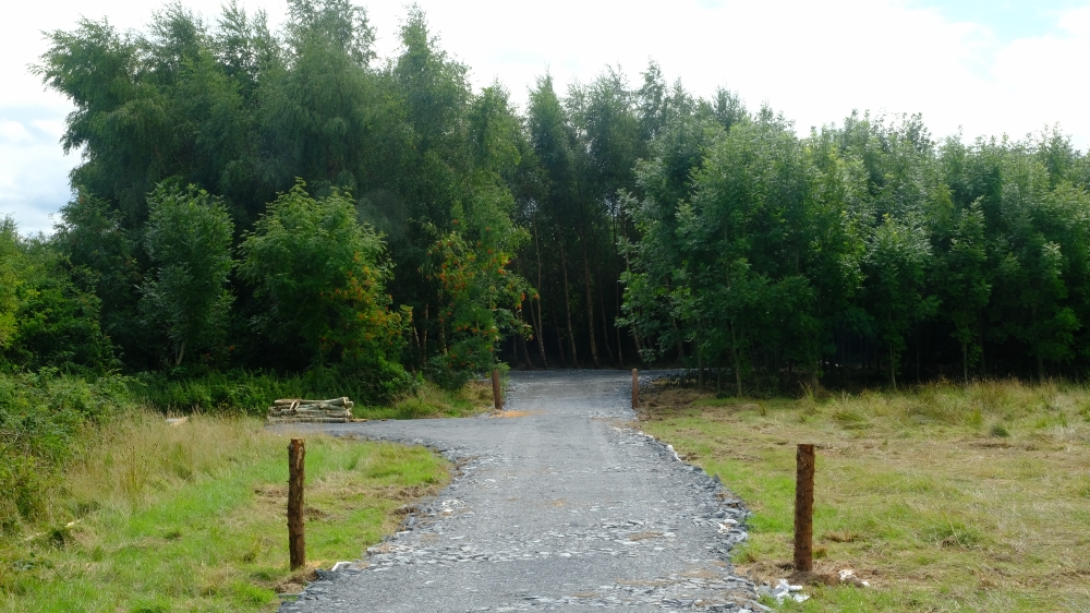 Access track