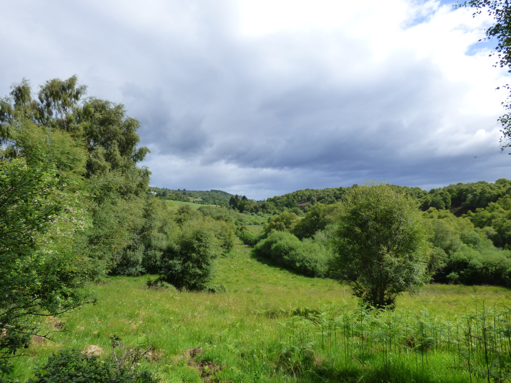 Lush green