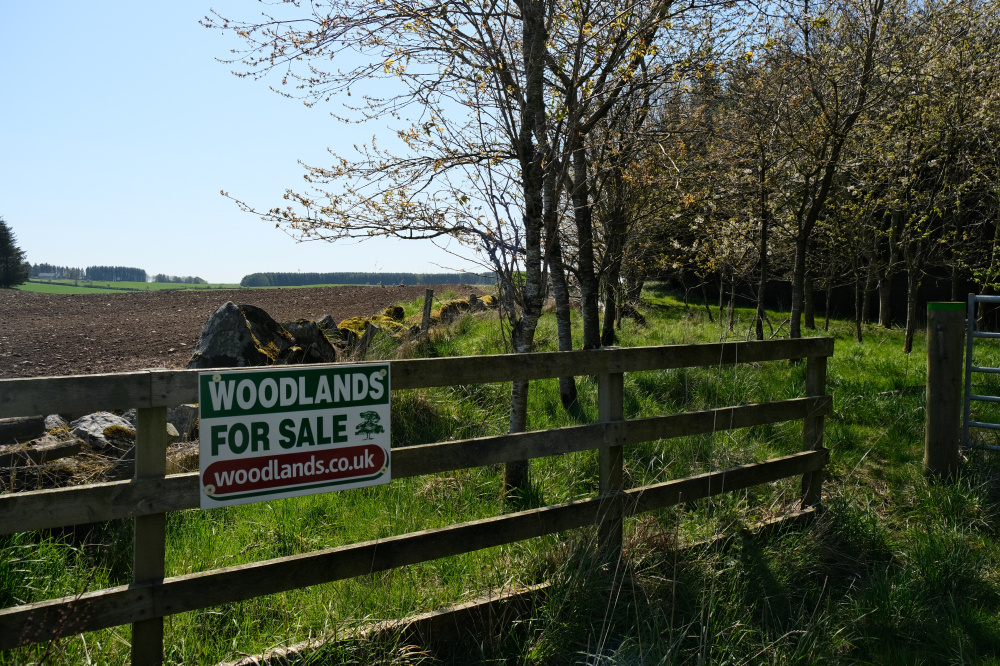 Woodland sign