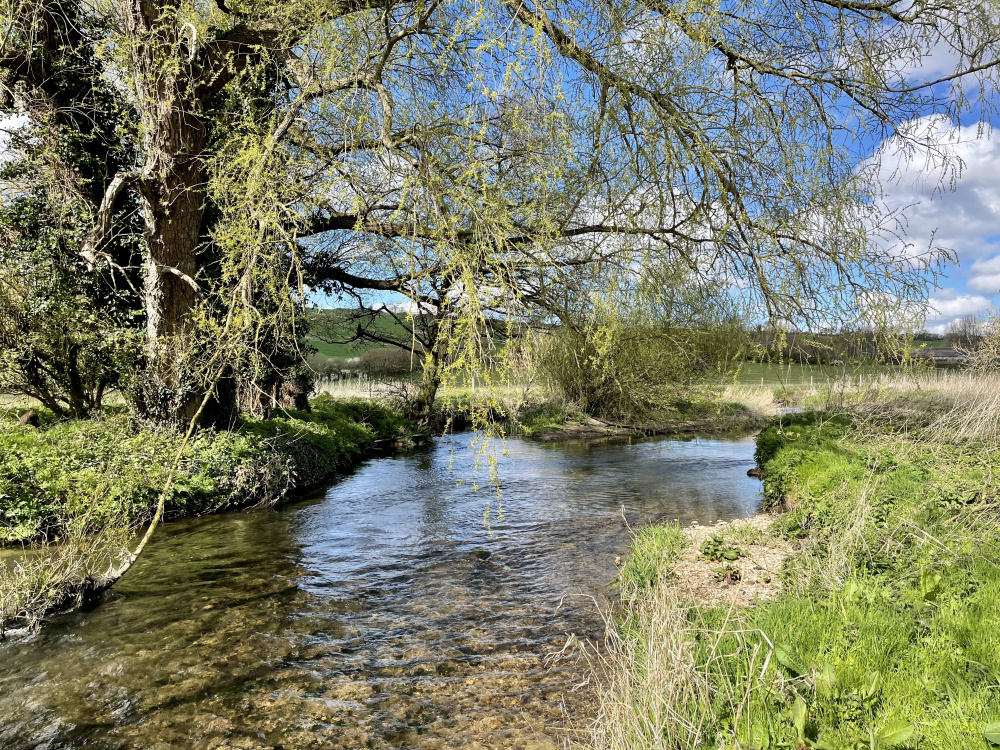 An idyllic spot