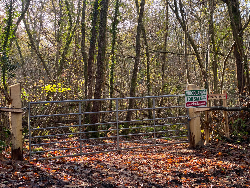 The private gate entrance into Emelye Wood