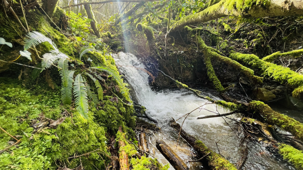 Mini waterfall